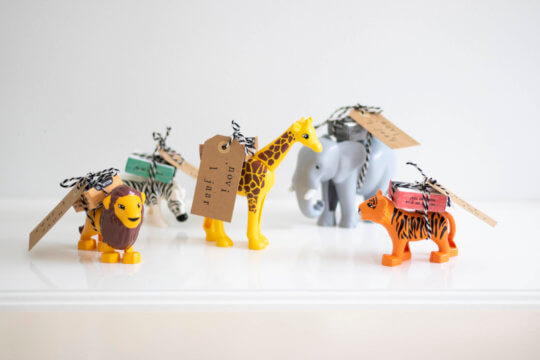 Traktatie van duplo dieren voor eerste verjaardag Novi.